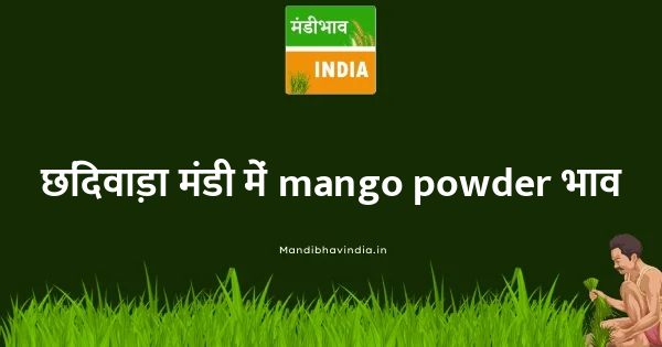 mango powder भाव